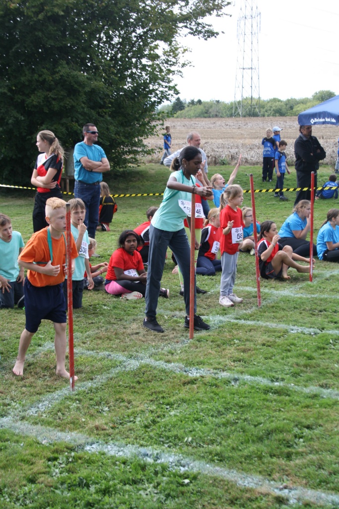 Bild 1 (146)